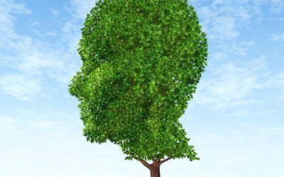 Chelation Therapy for Autism