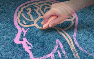 Autism, Attention, Anxiety & Academics