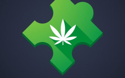Medical Marijuana for Autism