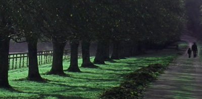 Two Hundred Child Development Stories