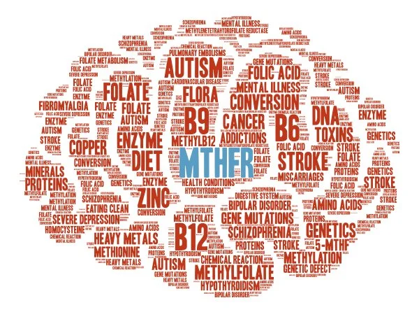 Folate Issues and Autism