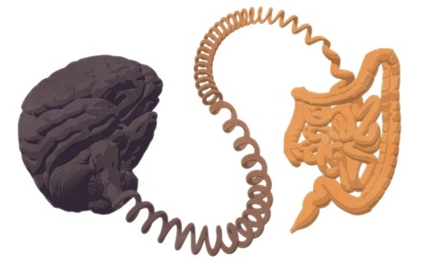 …and the Brain Bone is STILL Connected to the Bowel Bone